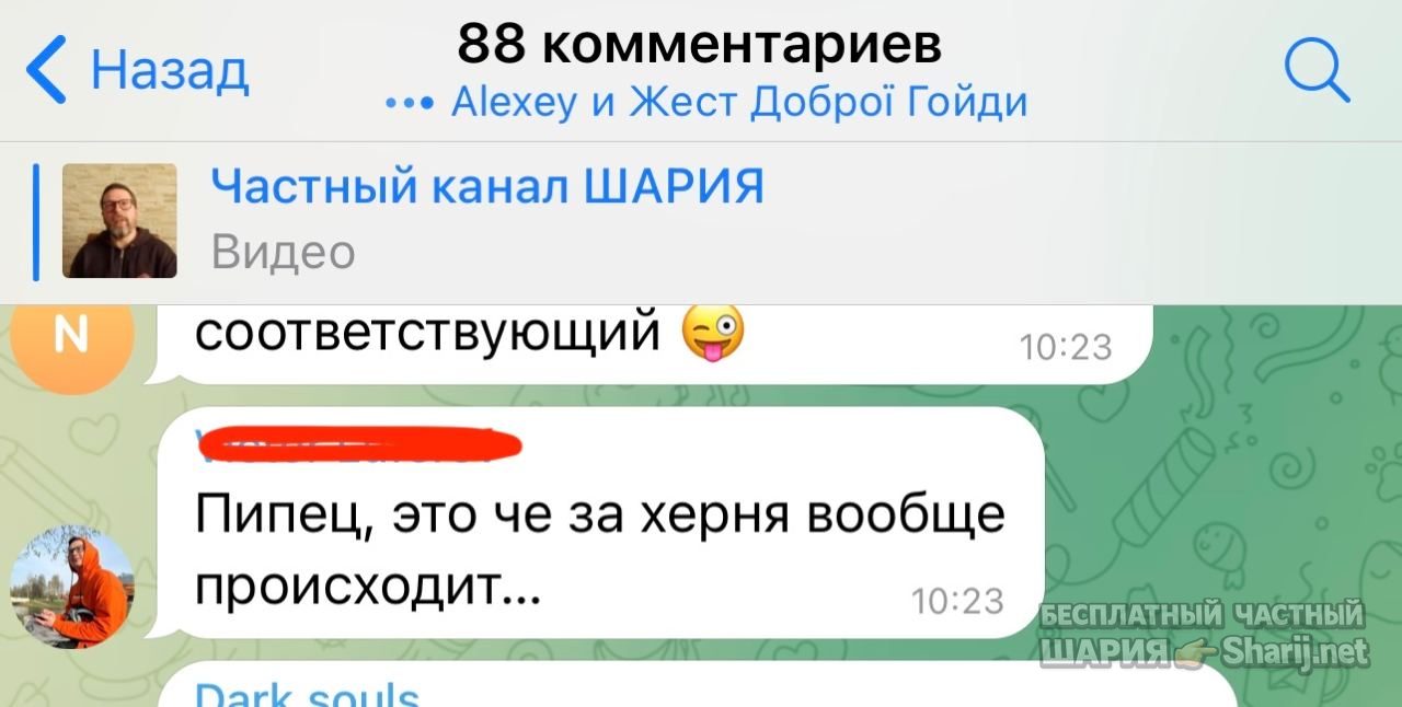 Анатолий Шарий Telegram канал — фото из публикации