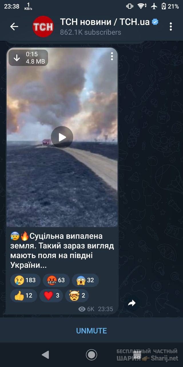 Анатолий Шарий Telegram канал — фото из публикации