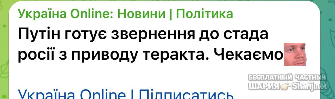 Анатолий Шарий Telegram канал — фото из публикации
