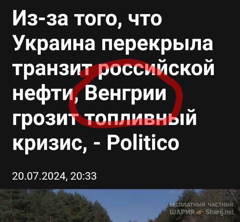 Анатолий Шарий Telegram канал — фото из публикации
