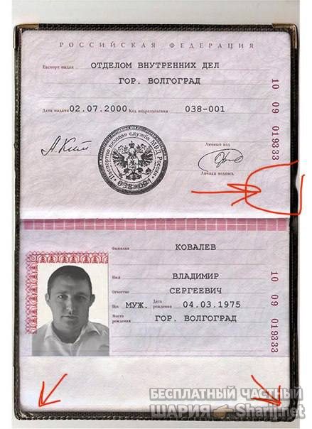Анатолий Шарий Telegram канал — фото из публикации