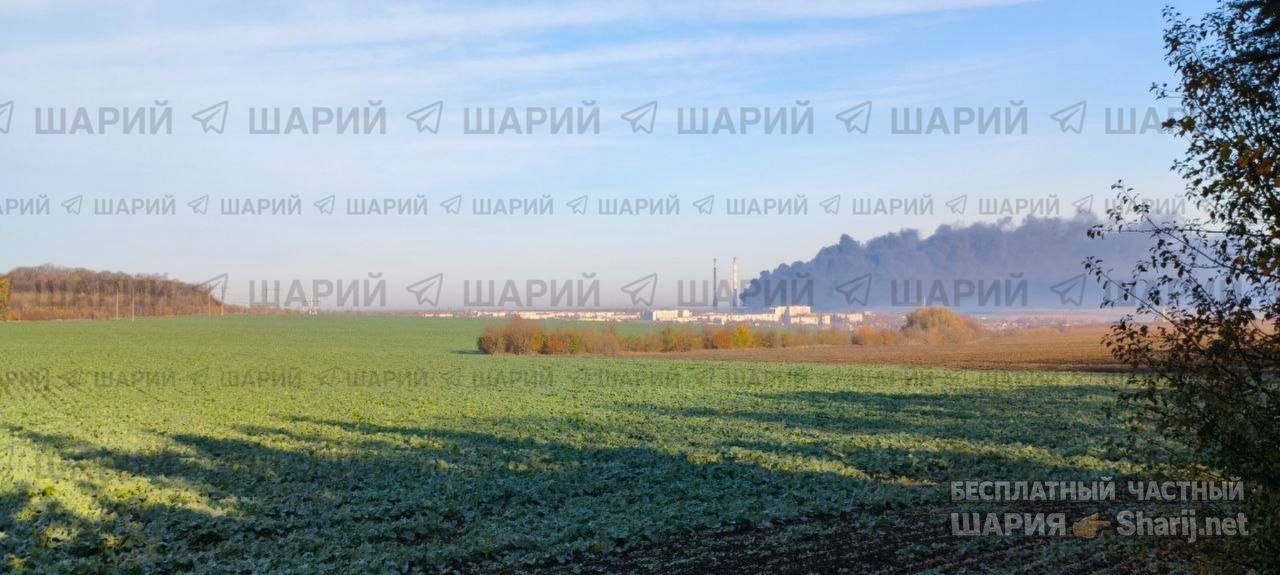 Анатолий Шарий Telegram канал — фото из публикации