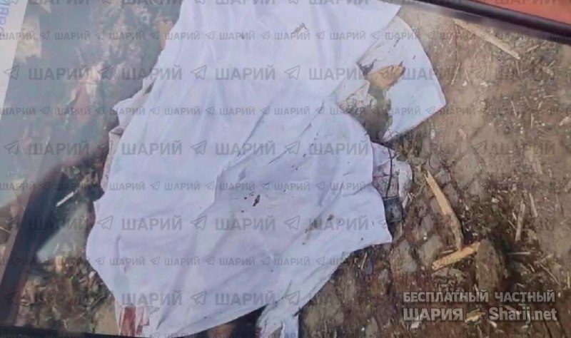 Анатолий Шарий Telegram канал — фото из публикации