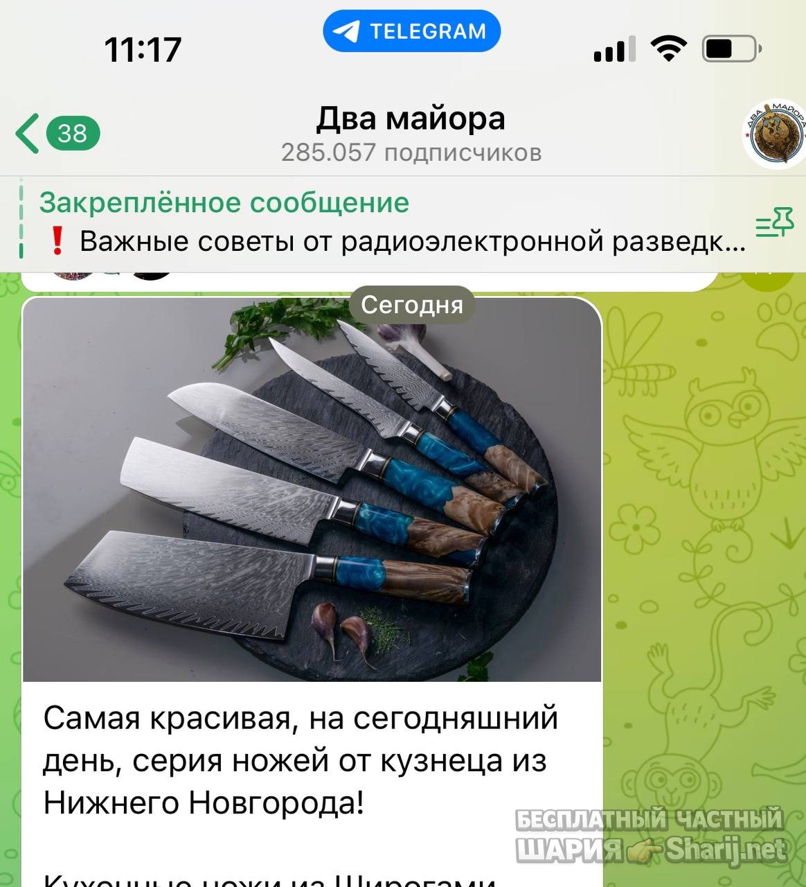 Анатолий Шарий Telegram канал — фото из публикации