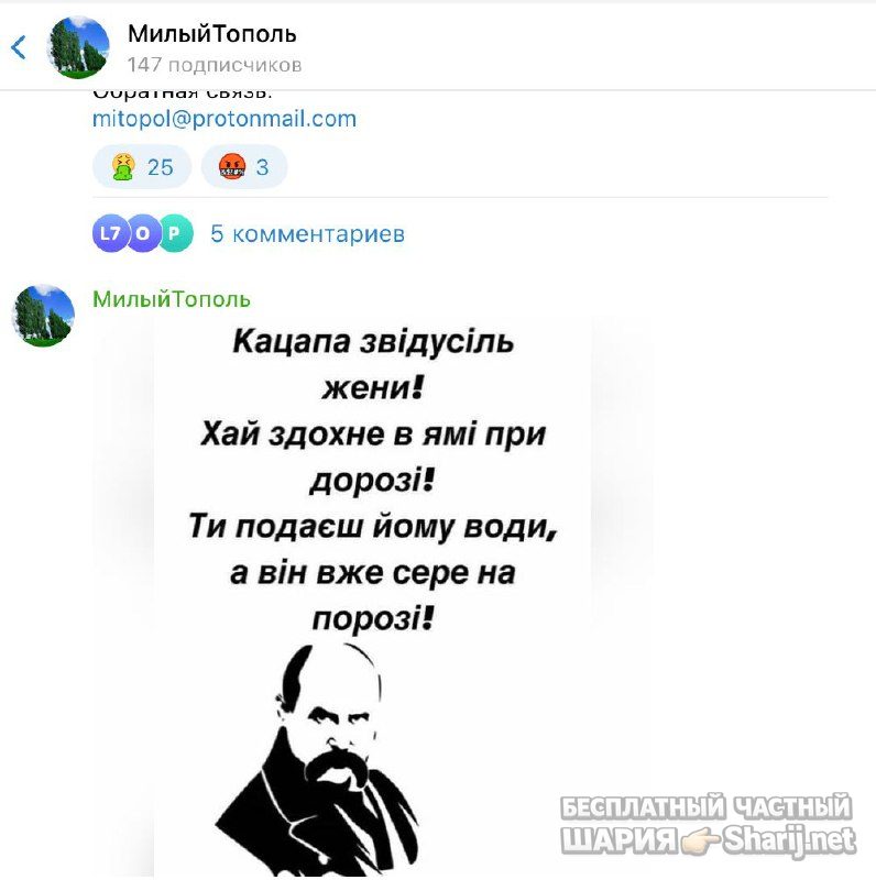 Анатолий Шарий Telegram канал — фото из публикации