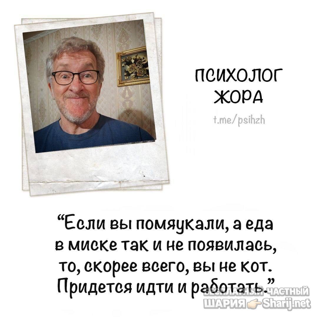 Анатолий Шарий Telegram канал — фото из публикации