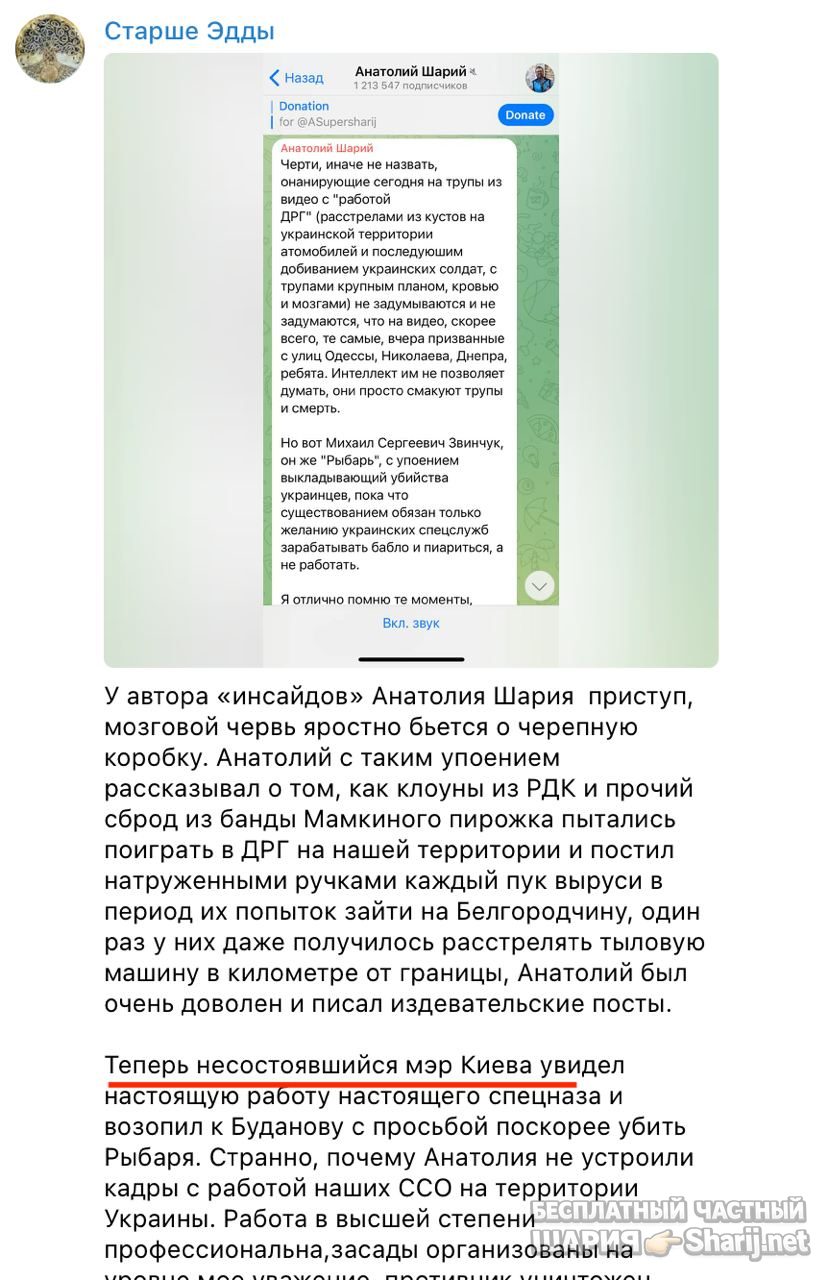 Анатолий Шарий Telegram канал — фото из публикации