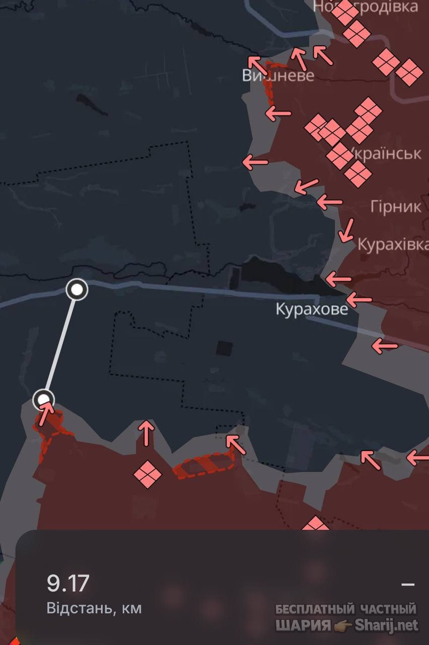 Анатолий Шарий Telegram канал — фото из публикации