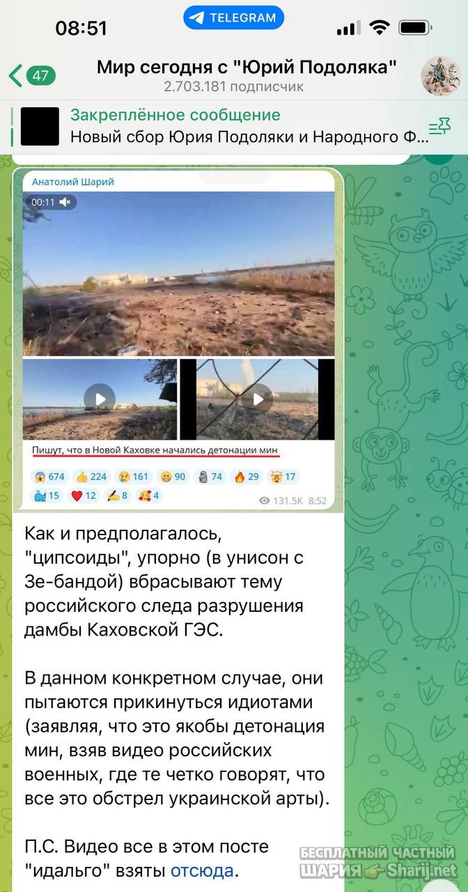 Анатолий Шарий Telegram канал — фото из публикации