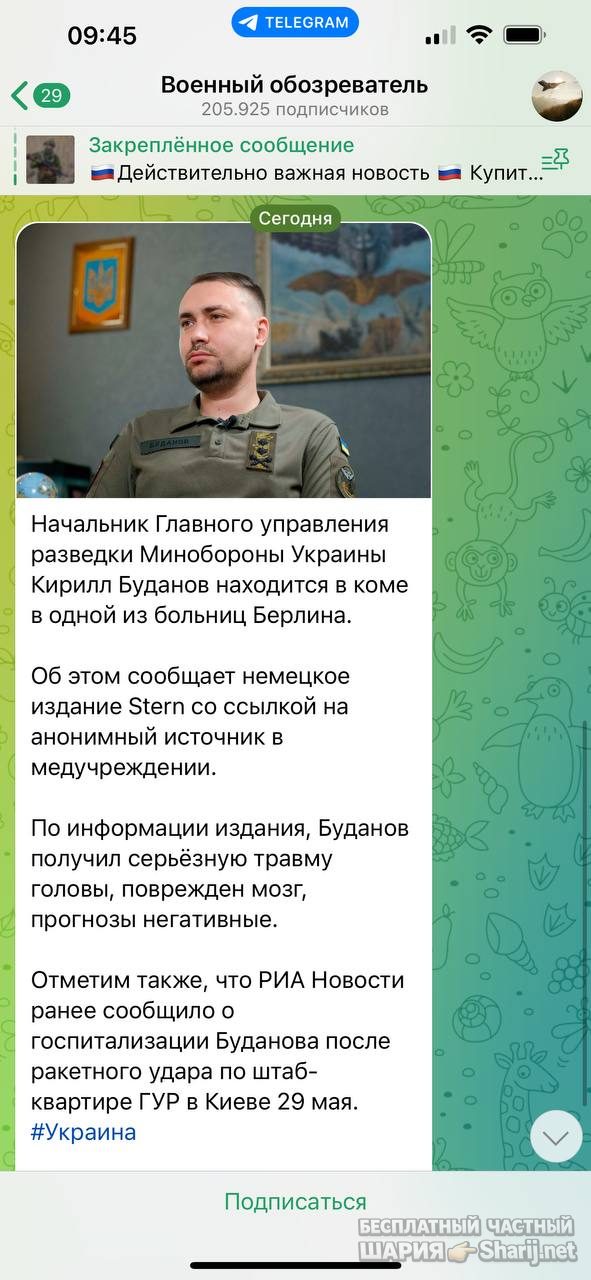 Анатолий Шарий Telegram канал — фото из публикации
