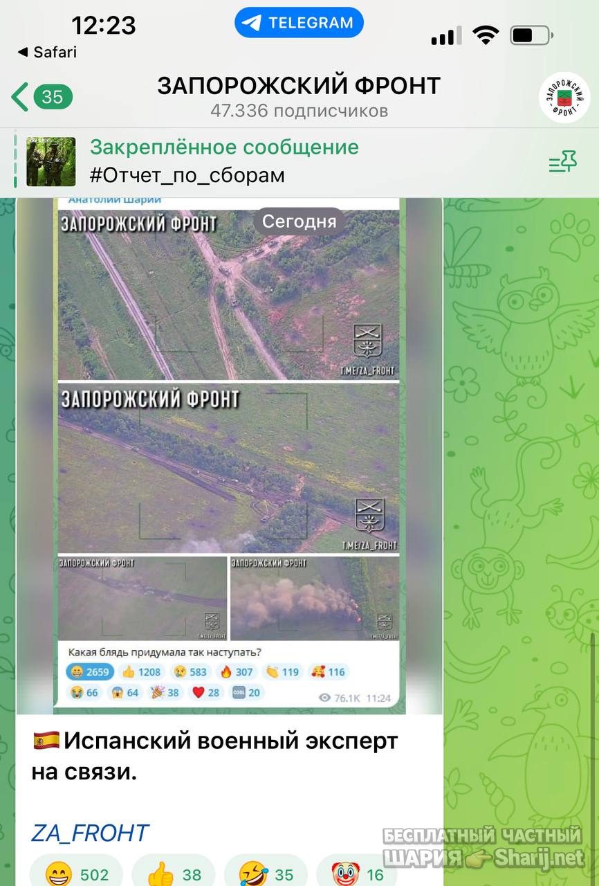 Анатолий Шарий Telegram канал — фото из публикации