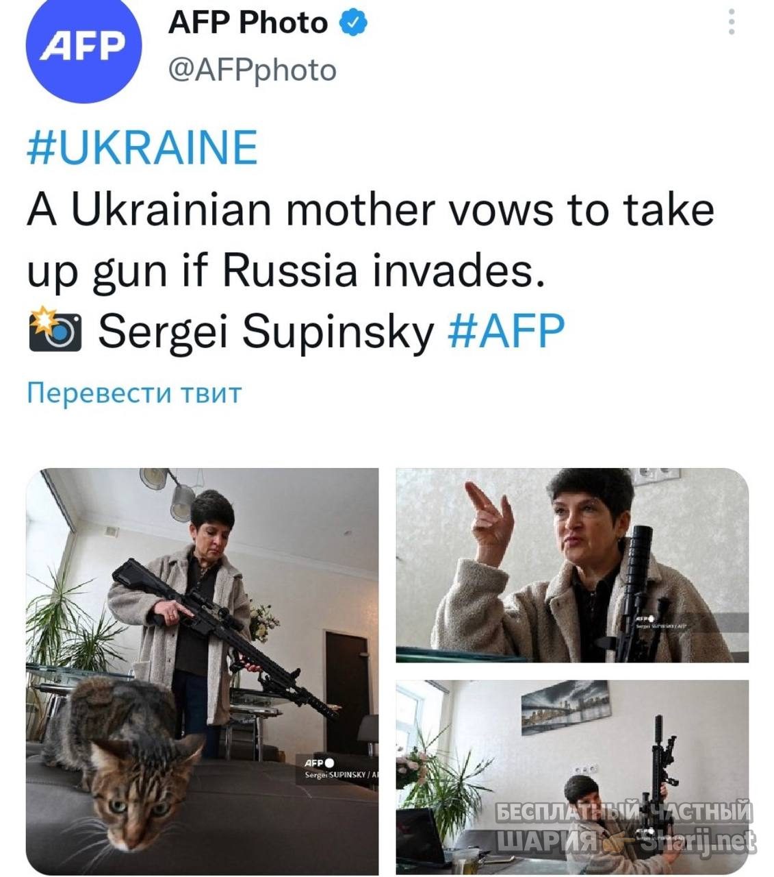 Анатолий Шарий Telegram канал — фото из публикации