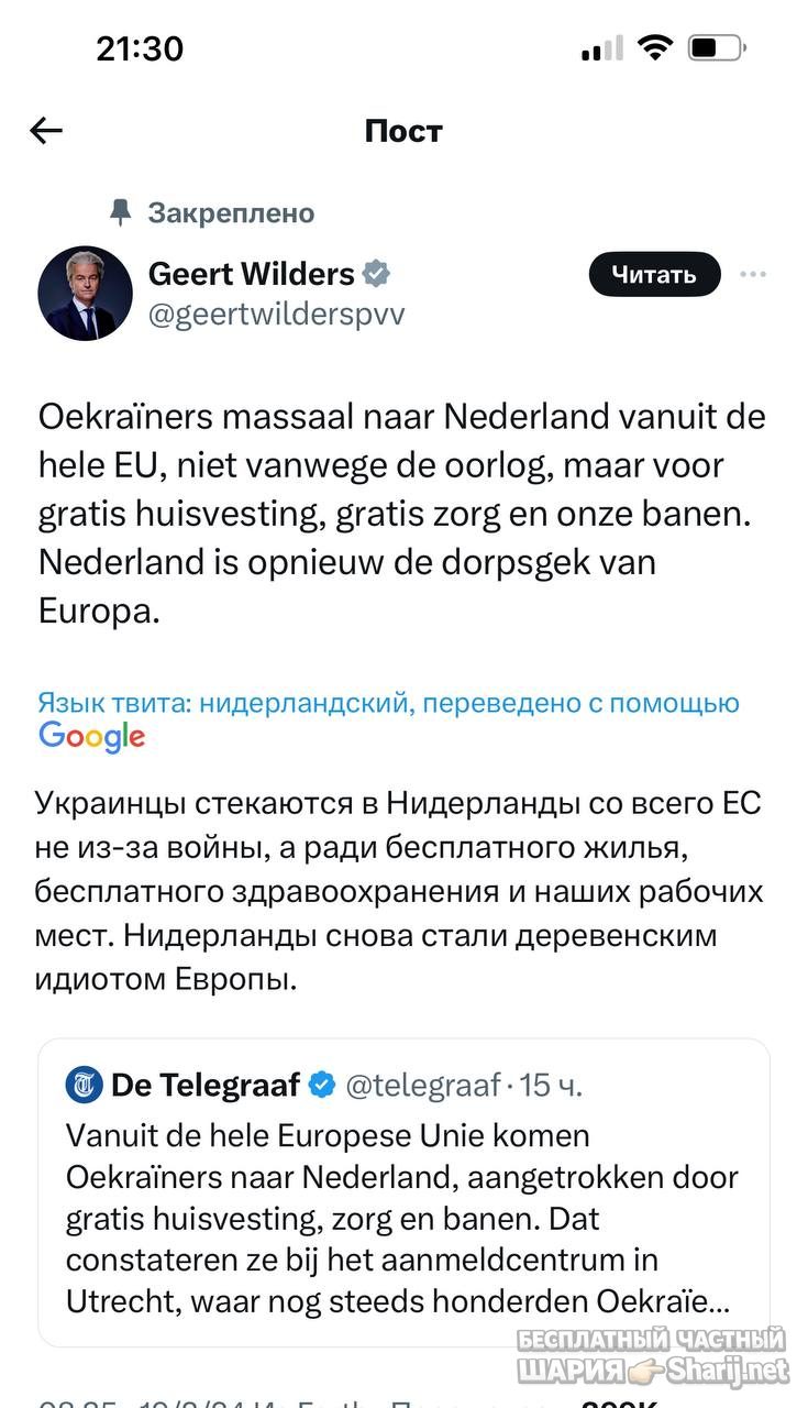 Анатолий Шарий Telegram канал — фото из публикации