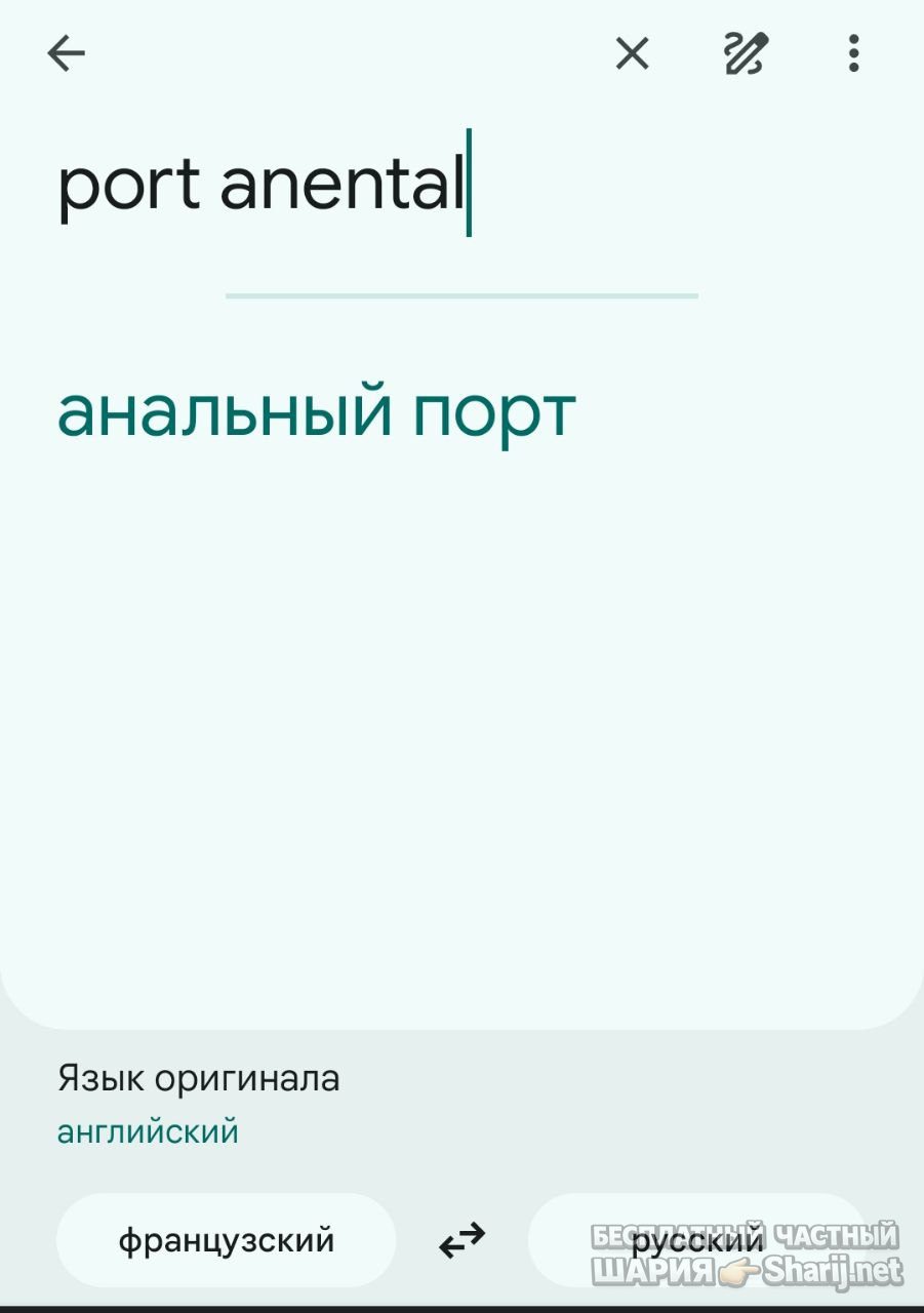 Анатолий Шарий Telegram канал — фото из публикации