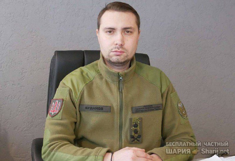 Анатолий Шарий Telegram канал — фото из публикации