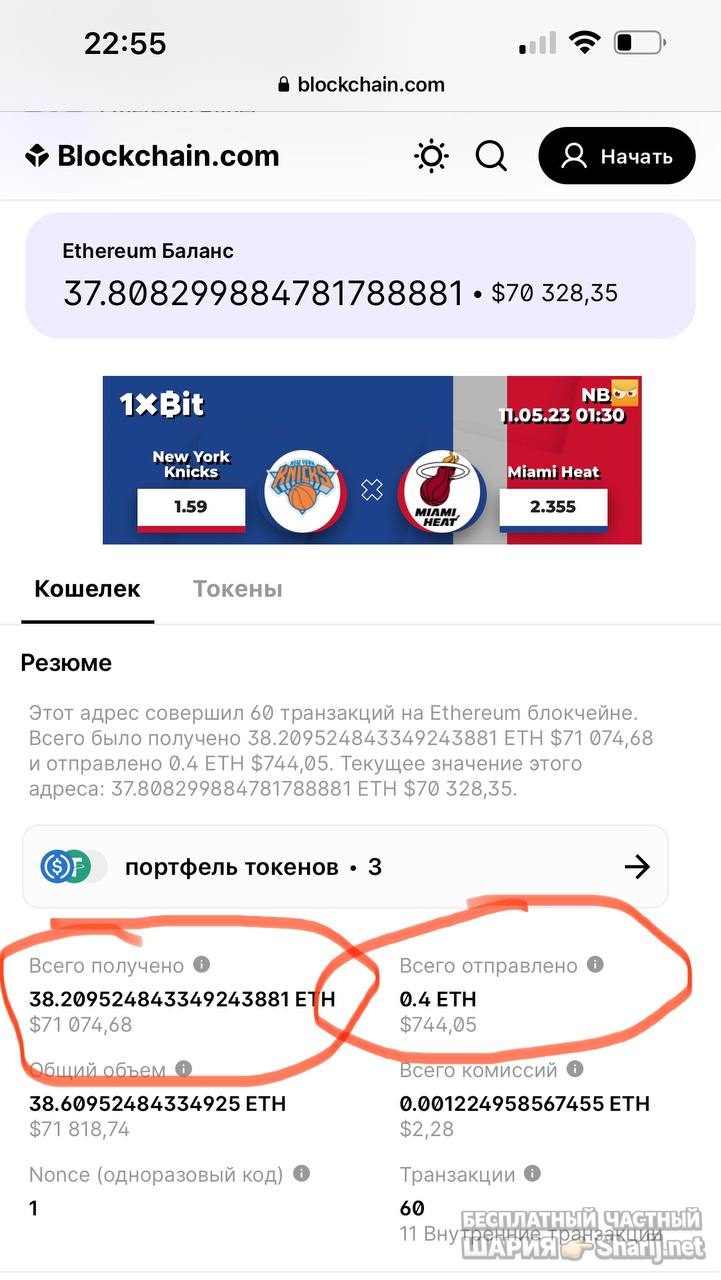Анатолий Шарий Telegram канал — фото из публикации