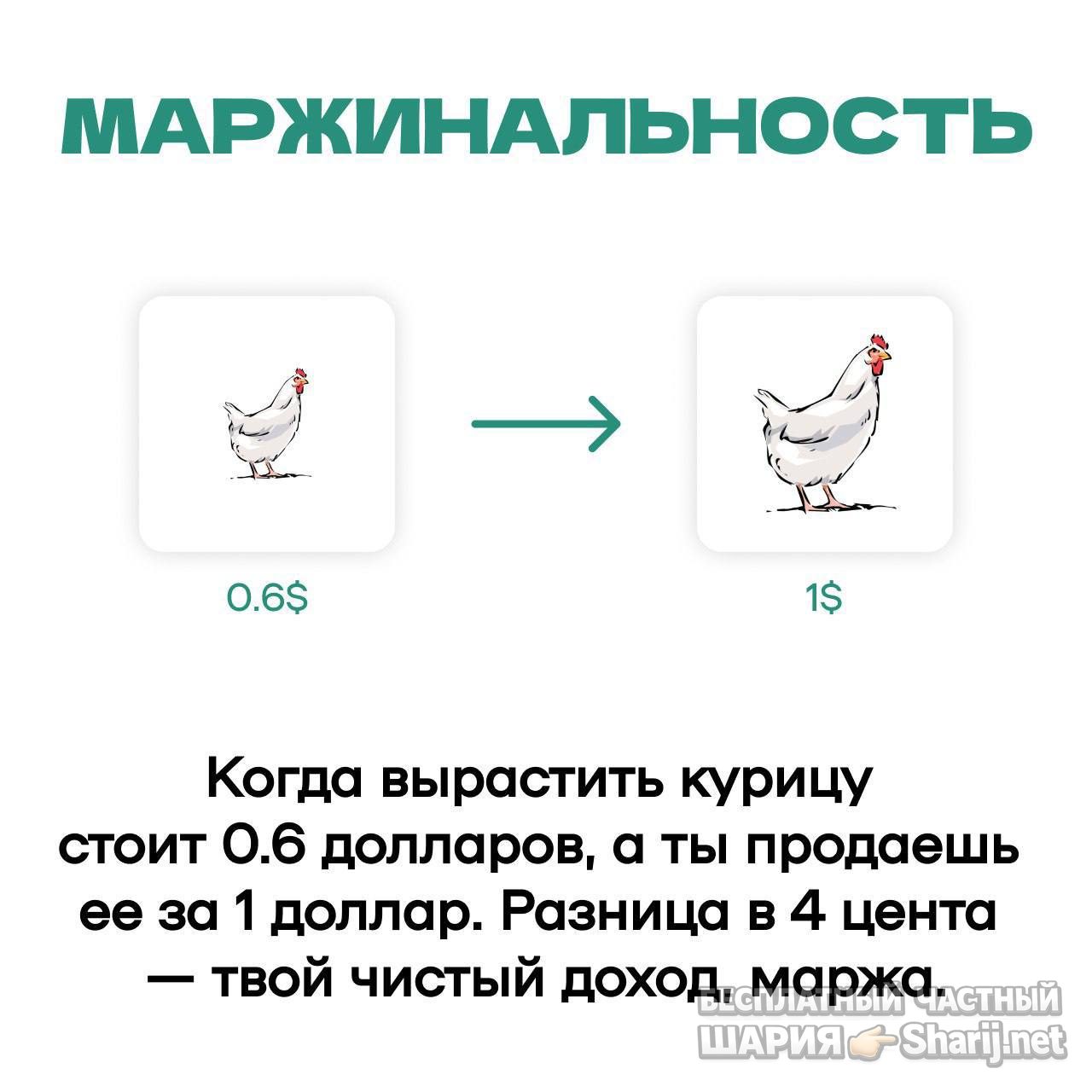 Анатолий Шарий Telegram канал — фото из публикации