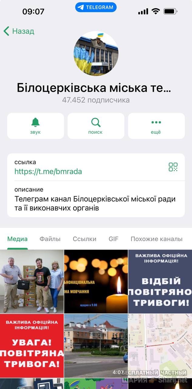 Анатолий Шарий Telegram канал — фото из публикации