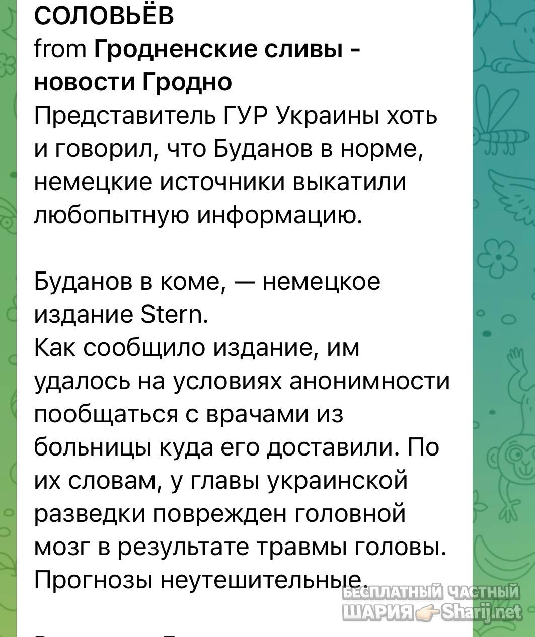 Анатолий Шарий Telegram канал — фото из публикации