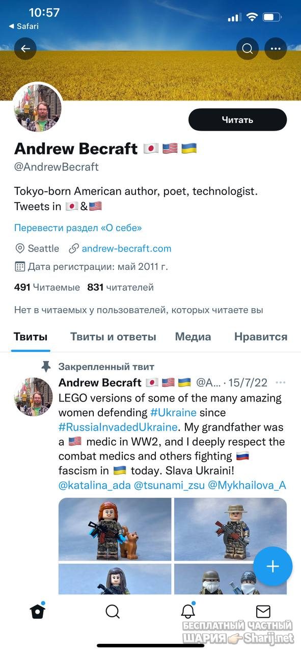 Анатолий Шарий Telegram канал — фото из публикации