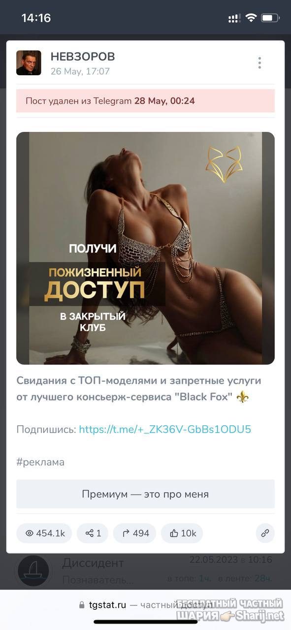Анатолий Шарий Telegram канал — фото из публикации