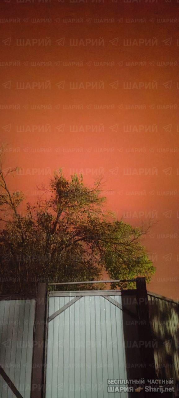 Анатолий Шарий Telegram канал — фото из публикации