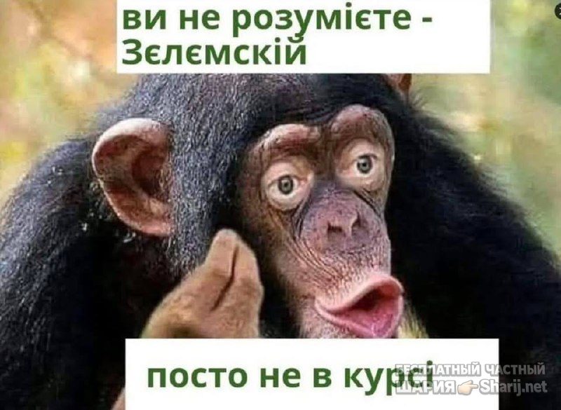 Анатолий Шарий Telegram канал — фото из публикации