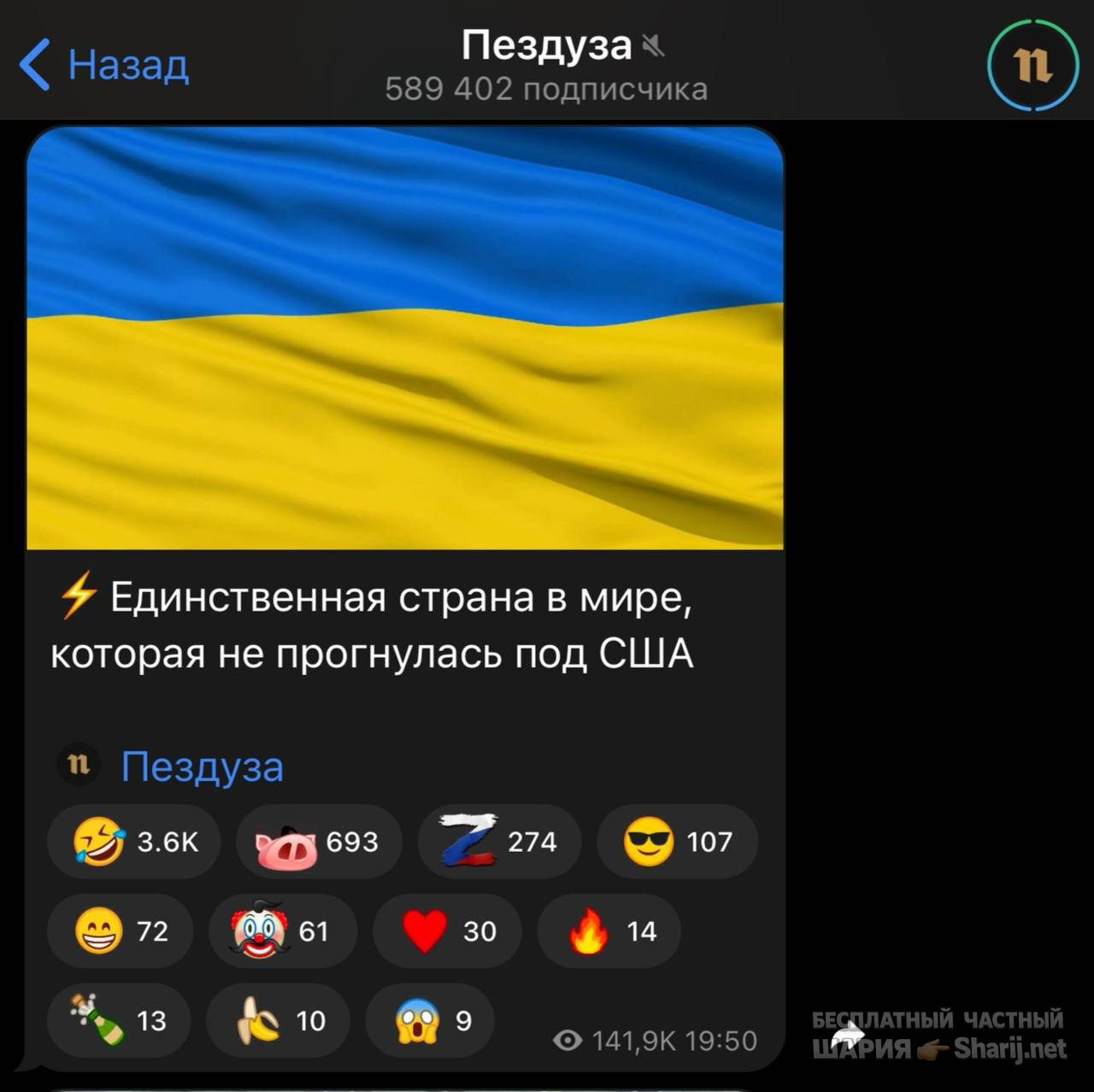 Анатолий Шарий Telegram канал — фото из публикации