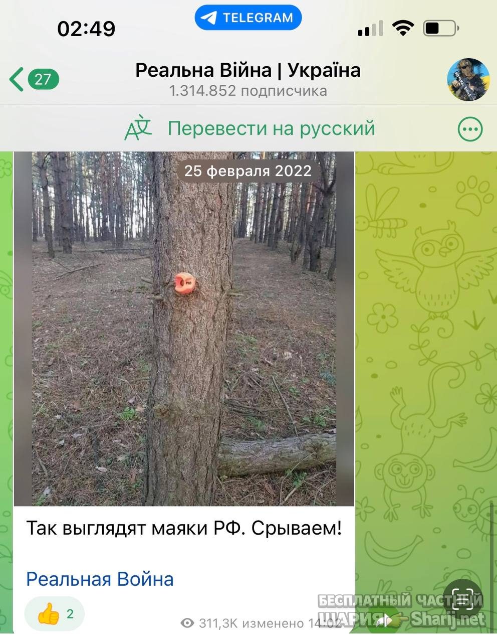 Анатолий Шарий Telegram канал — фото из публикации