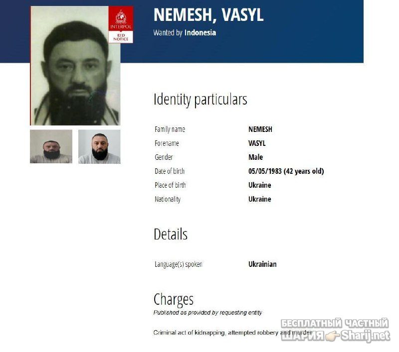 Анатолий Шарий Telegram канал — фото из публикации