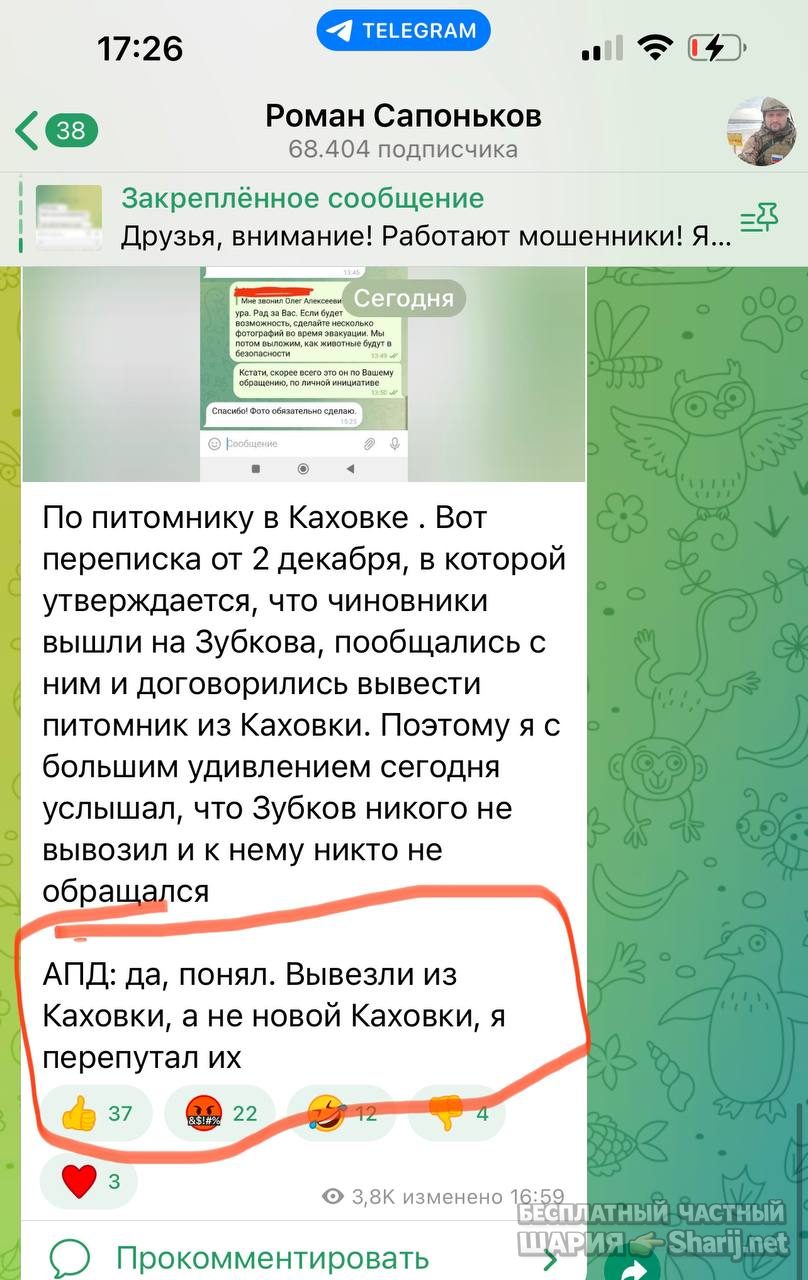 Анатолий Шарий Telegram канал — фото из публикации