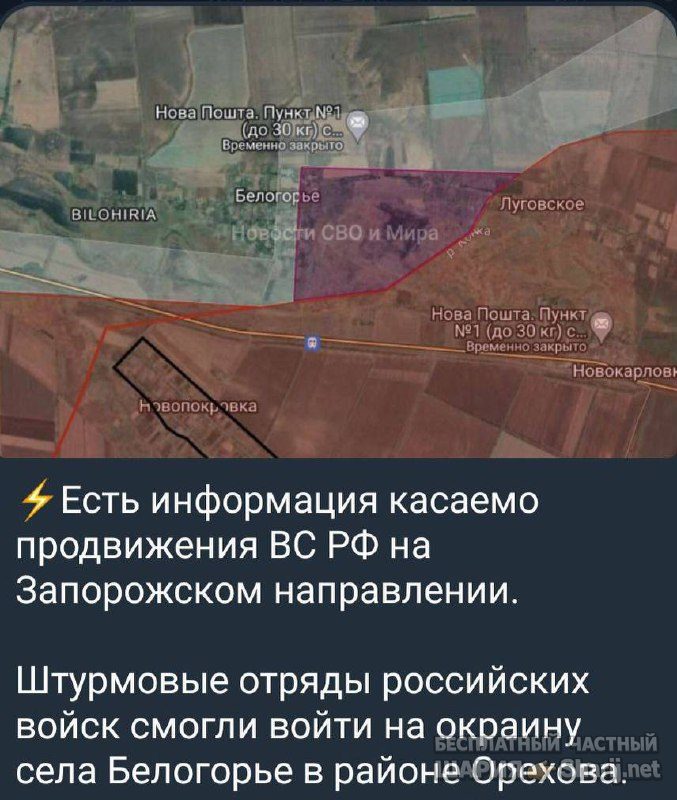 Анатолий Шарий Telegram канал — фото из публикации