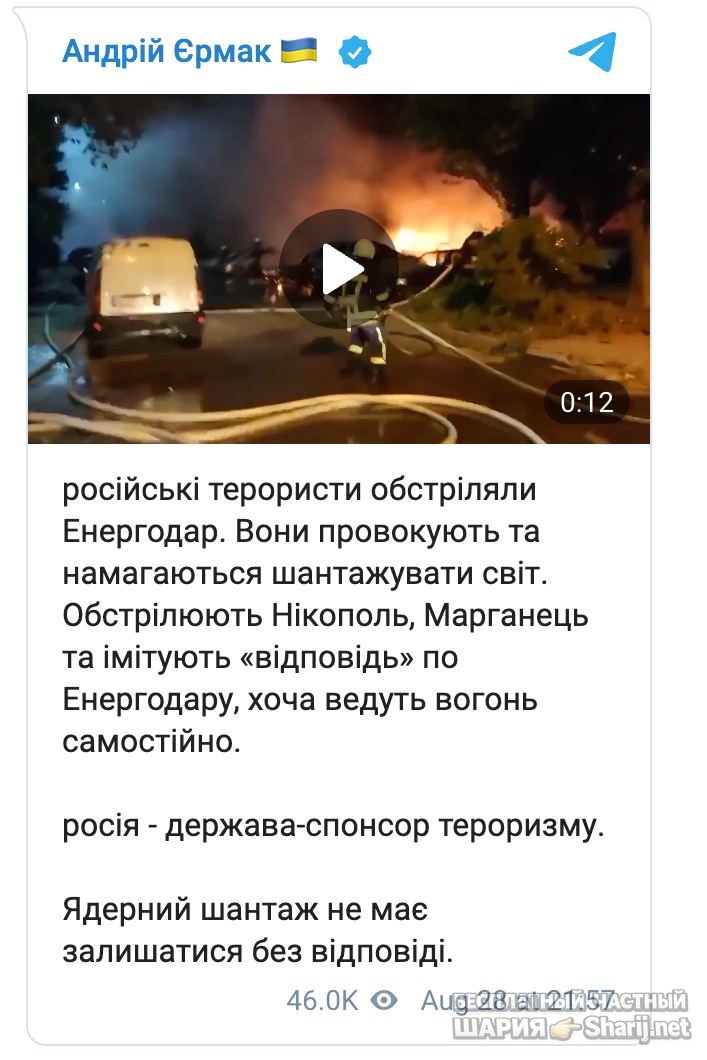 Анатолий Шарий Telegram канал — фото из публикации