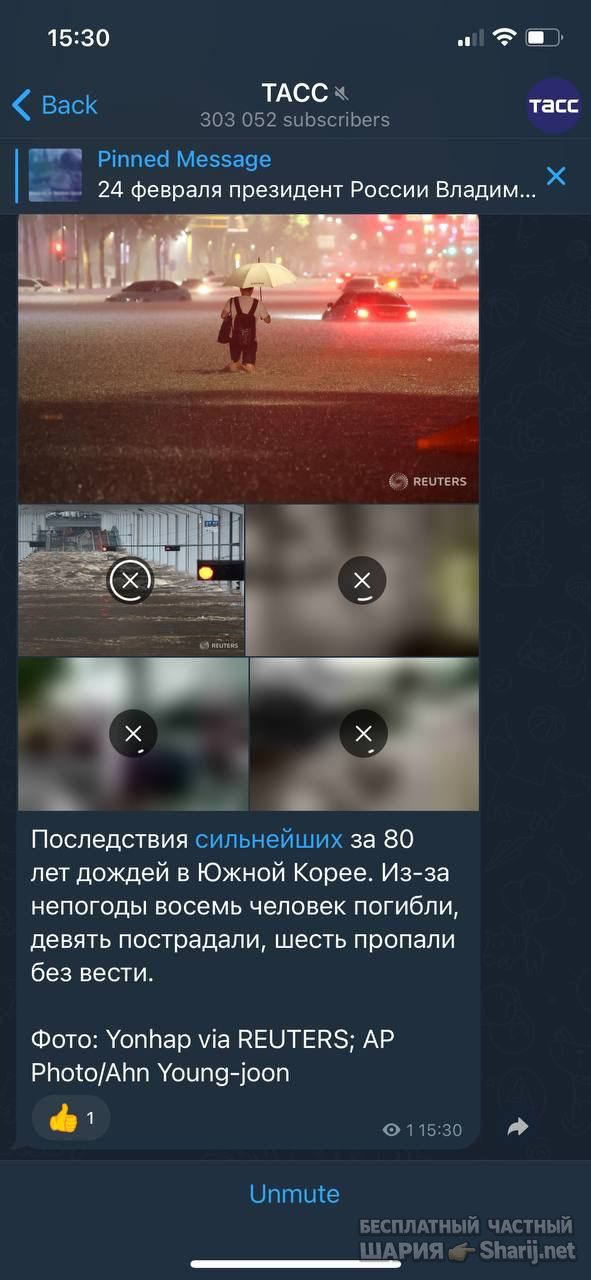 Анатолий Шарий Telegram канал — фото из публикации