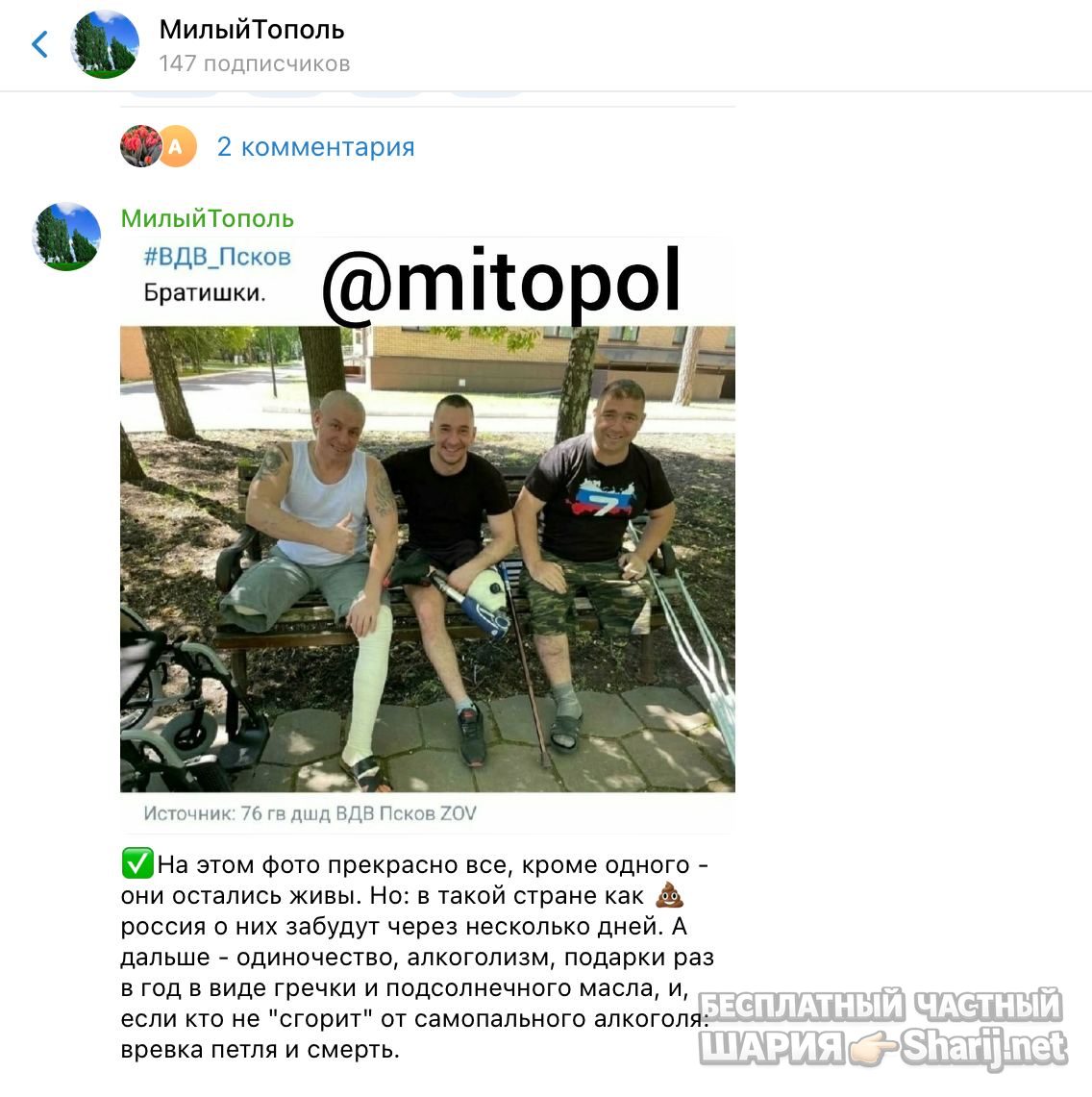 Анатолий Шарий Telegram канал — фото из публикации