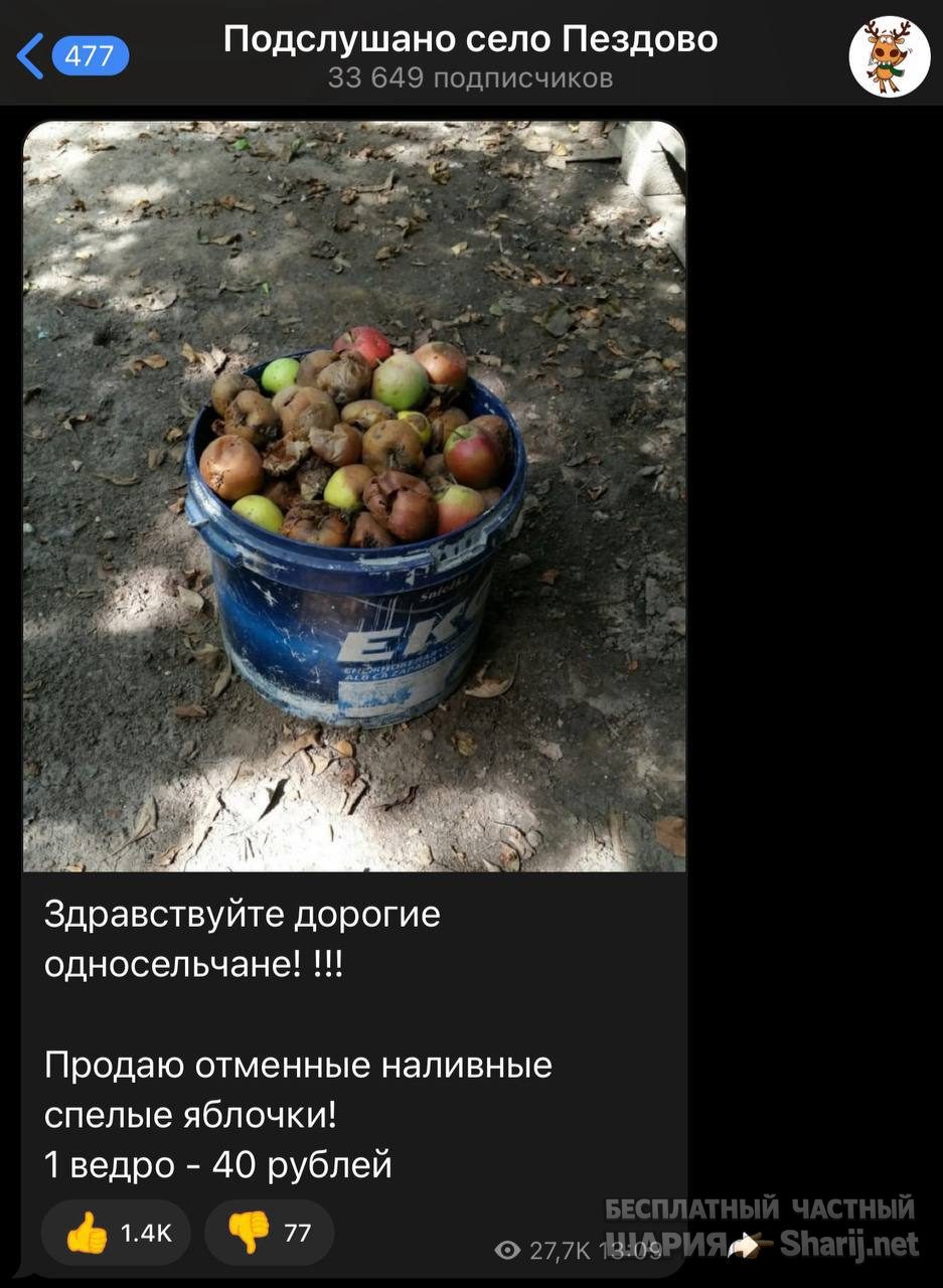 Анатолий Шарий Telegram канал — фото из публикации