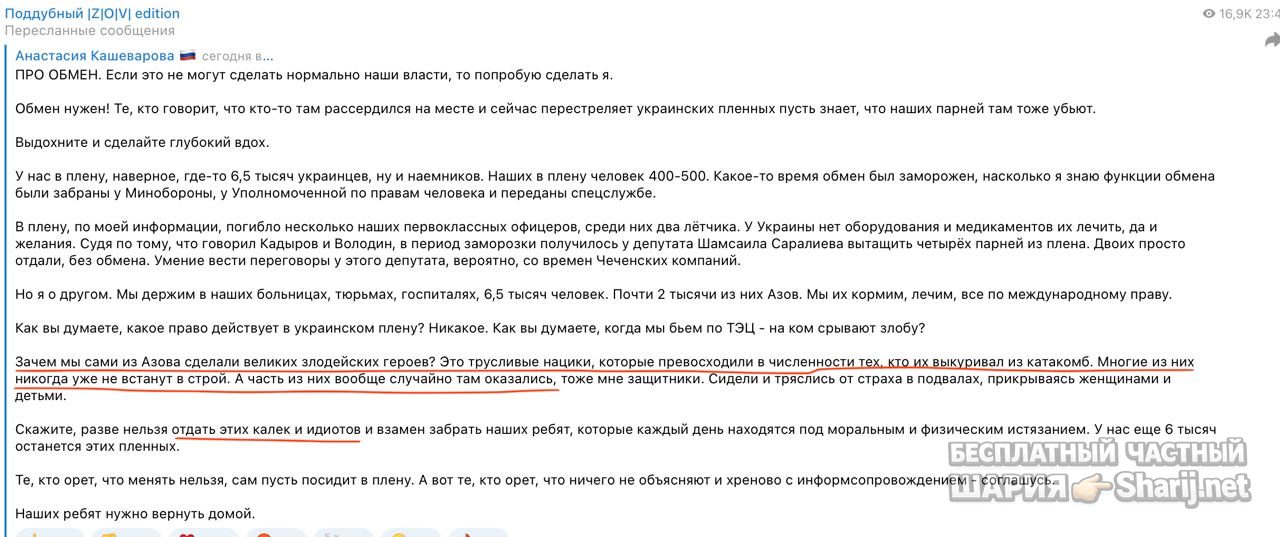 Анатолий Шарий Telegram канал — фото из публикации