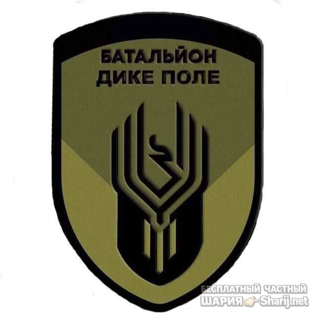 Анатолий Шарий Telegram канал — фото из публикации