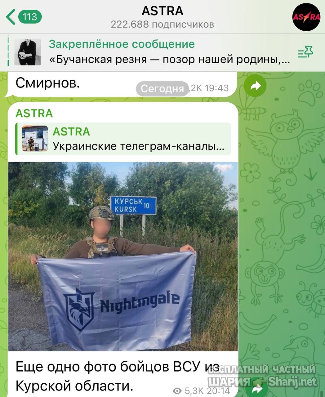 Анатолий Шарий Telegram канал — фото из публикации