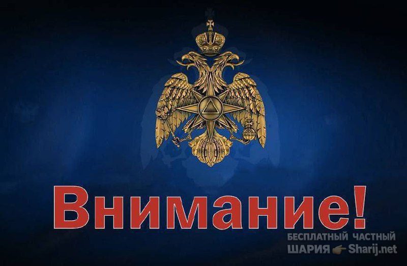 Анатолий Шарий Telegram канал — фото из публикации