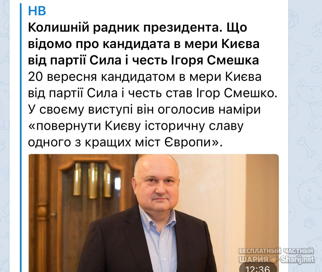 Анатолий Шарий Telegram канал — фото из публикации