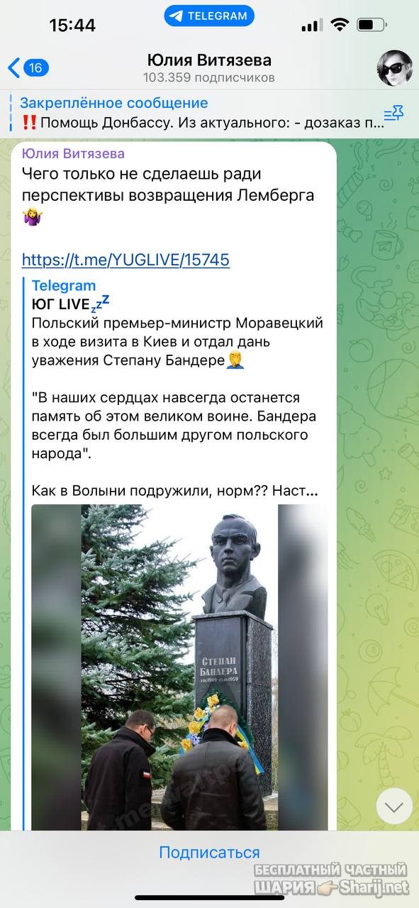 Анатолий Шарий Telegram канал — фото из публикации