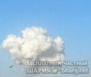 Анатолий Шарий Telegram канал — фото из публикации