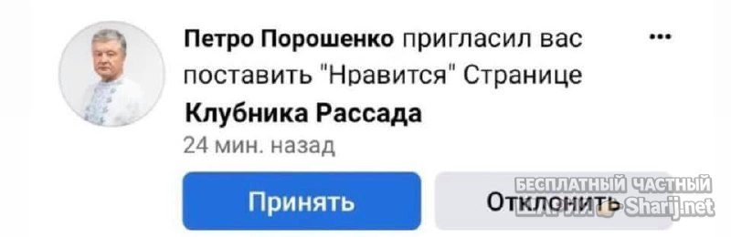 Анатолий Шарий Telegram канал — фото из публикации