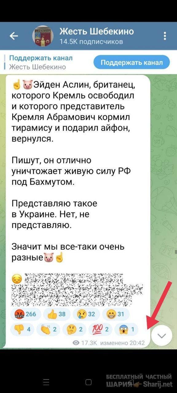 Анатолий Шарий Telegram канал — фото из публикации