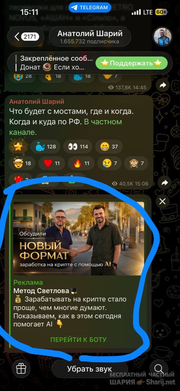 Анатолий Шарий Telegram канал — фото из публикации