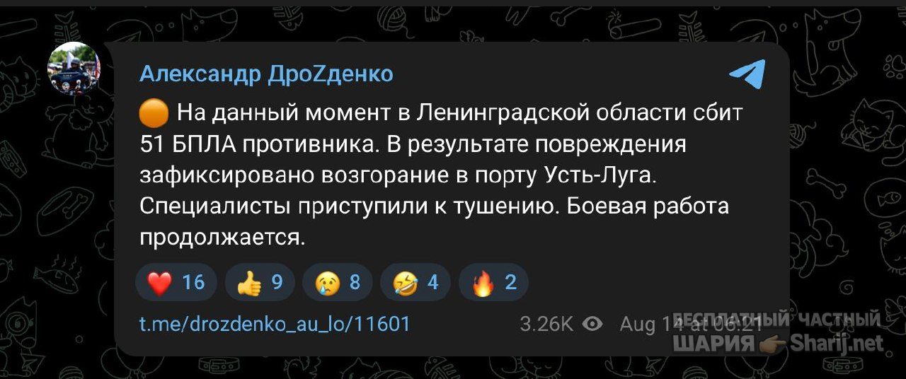Анатолий Шарий Telegram канал — фото из публикации