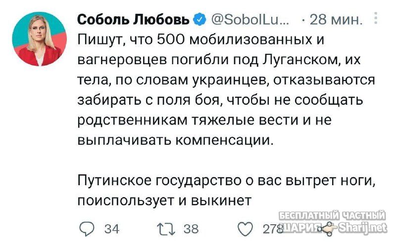 Анатолий Шарий Telegram канал — фото из публикации