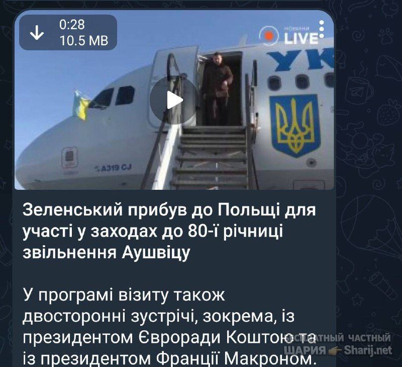 Анатолий Шарий Telegram канал — фото из публикации