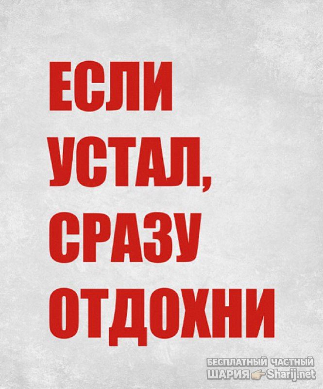 Анатолий Шарий Telegram канал — фото из публикации